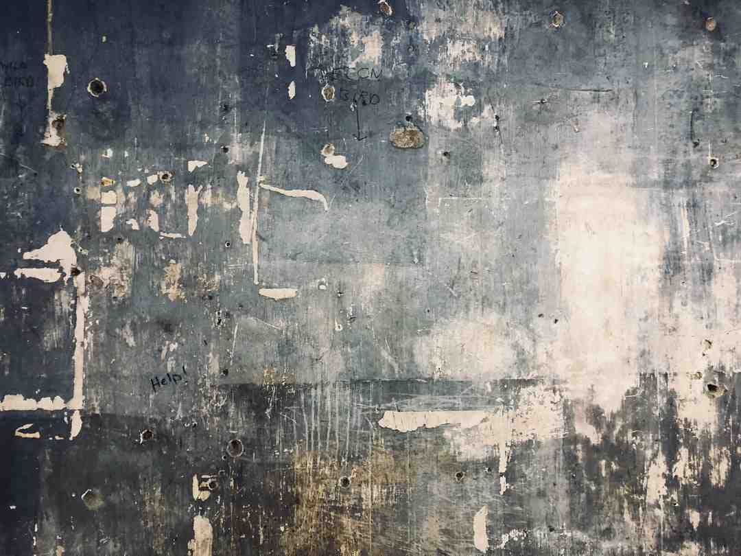Galerie image 1 : Henri Tisot : Fortune, Salaire, Parcours Et FAQ